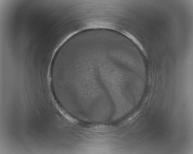 X0000082940885200702152211