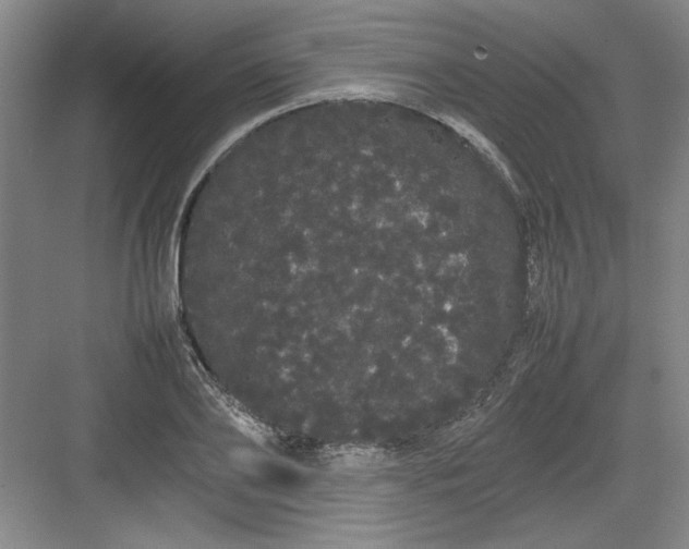 X0000082940886200702152211