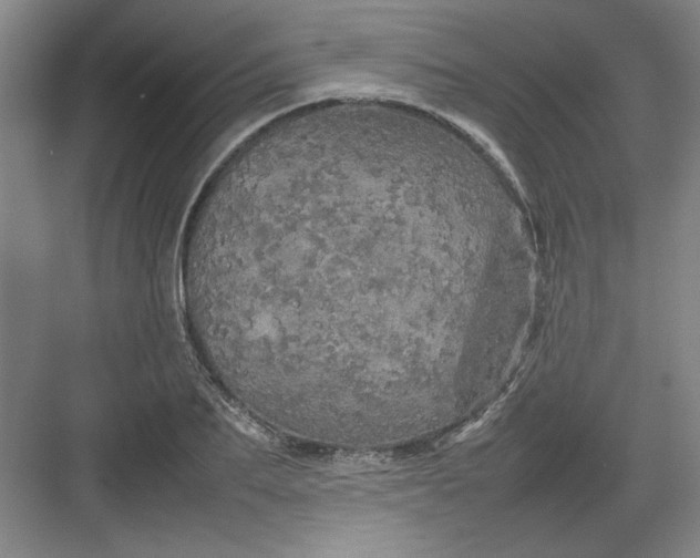 X0000082940887200702152211