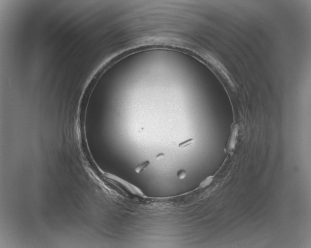 X0000082940888200702152211