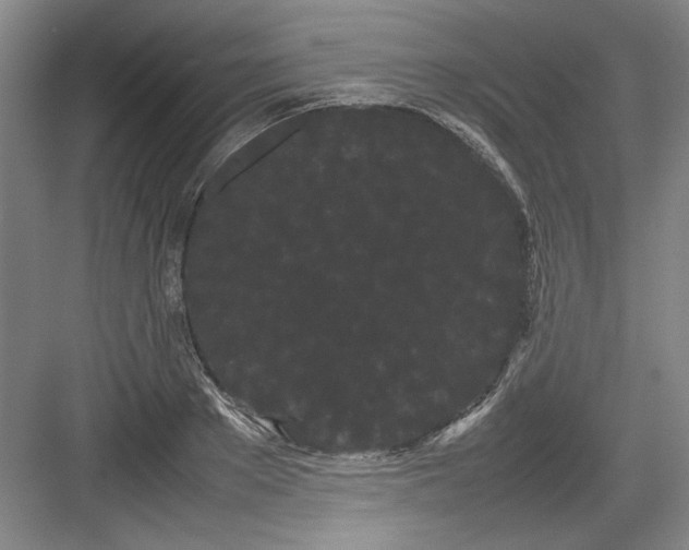 X0000082940889200702152211