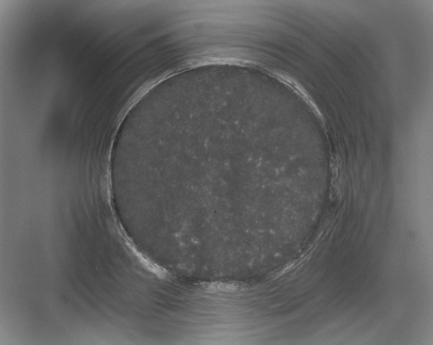 X0000082940890200702152211