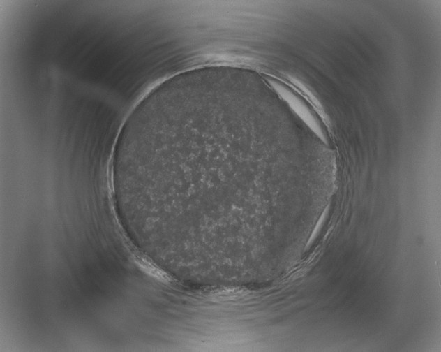 X0000082940891200702152211