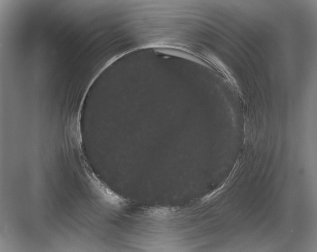 X0000082940892200702152211