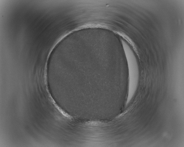 X0000082940894200702152211