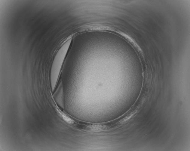 X0000082940897200702152211