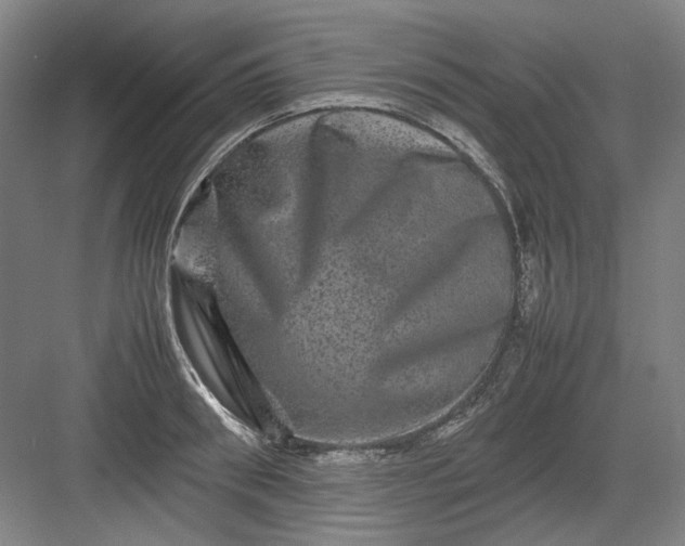 X0000082940898200702152211