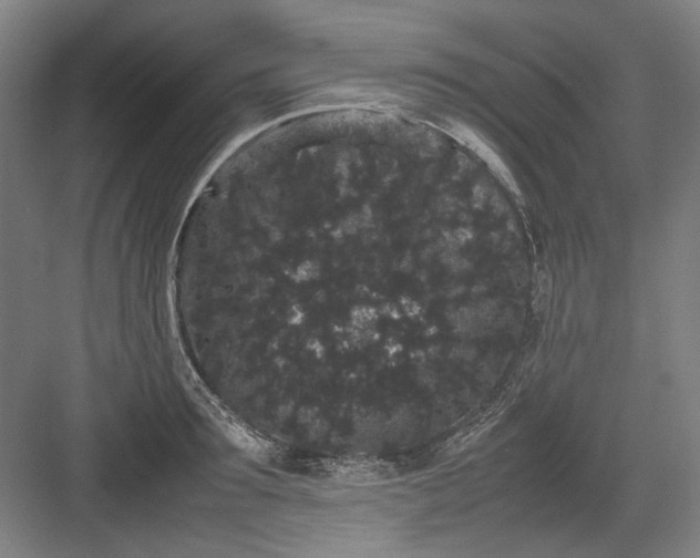 X0000082940899200702152211