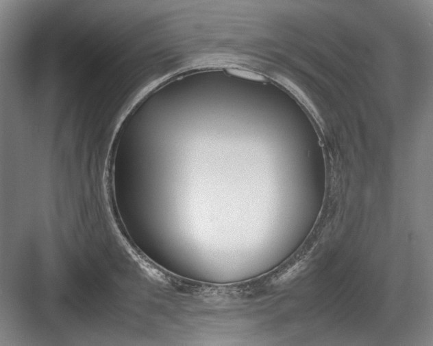 X0000082940901200702152211