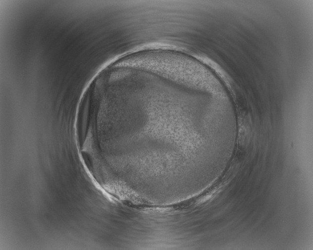 X0000082940902200702152211