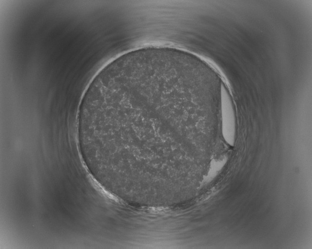 X0000082940903200702152211