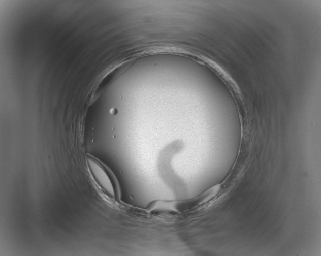 X0000082940905200702152211