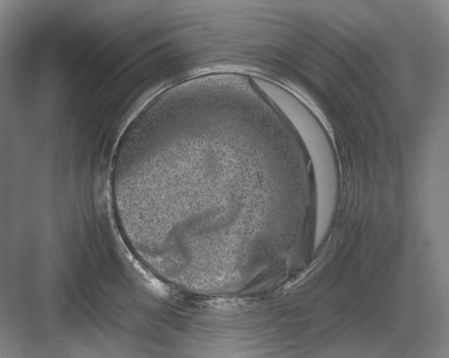 X0000082940906200702152211