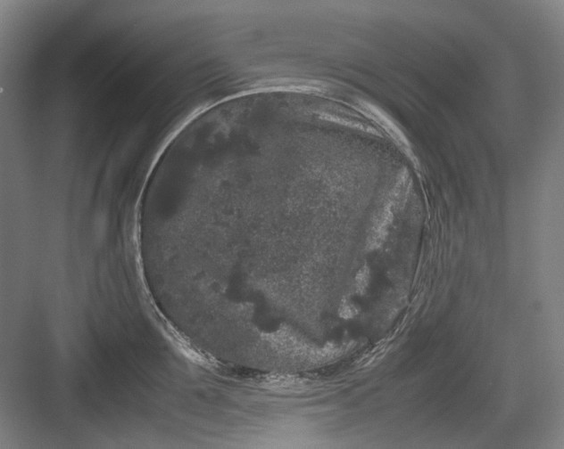 X0000082940907200702152211