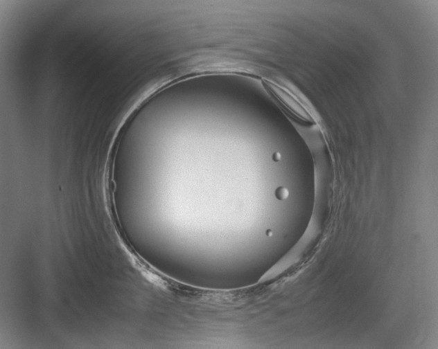 X0000082940909200702152211