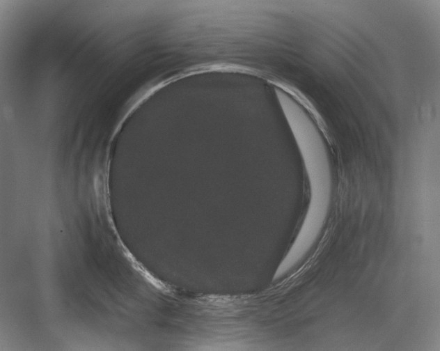 X0000082940910200702152211