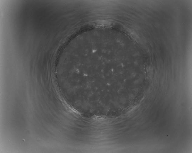 X0000082940913200702152210