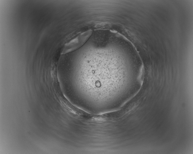 X0000082940914200702152210