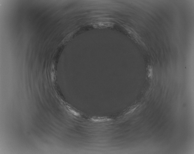 X0000082940915200702152210