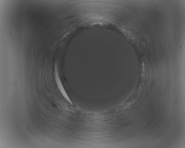 X0000082940916200702152210