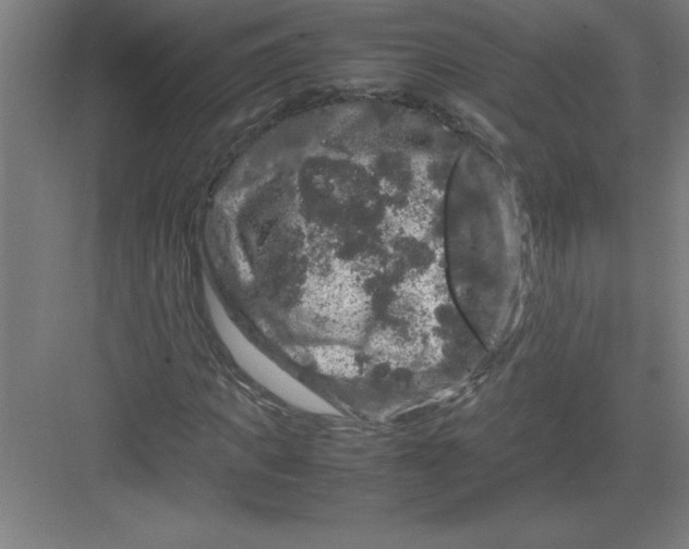 X0000082940917200702152210