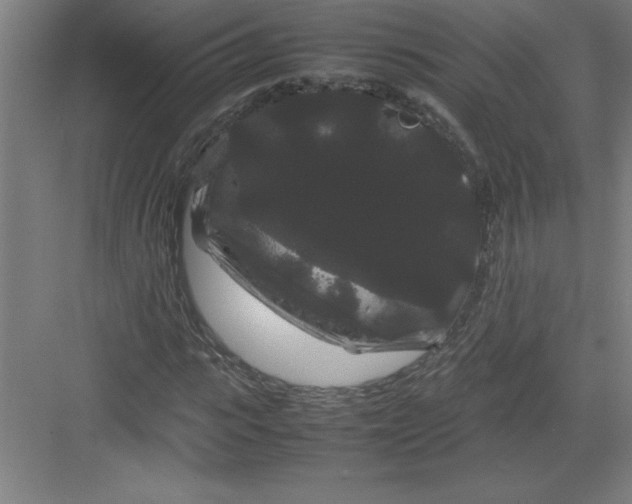 X0000082940919200702152210