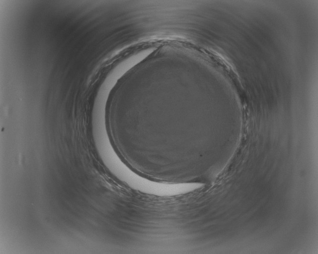 X0000082940920200702152210