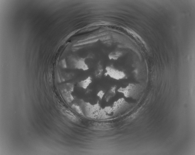 X0000082940921200702152210