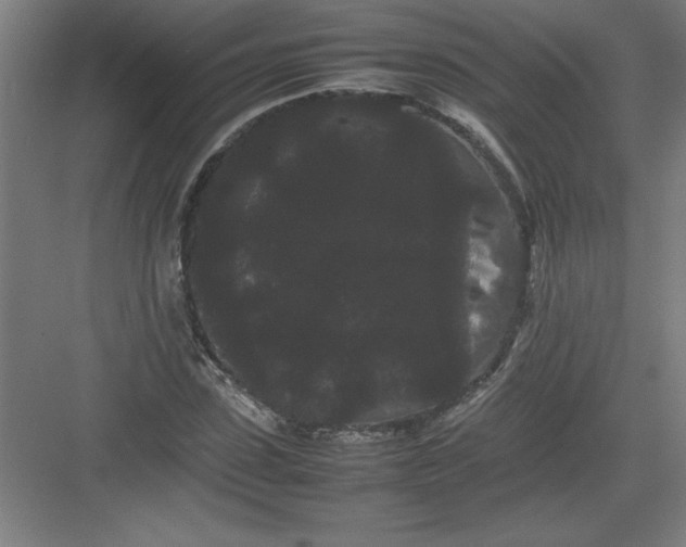 X0000082940923200702152210