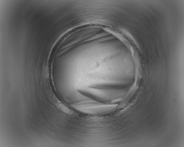 X0000082940924200702152210