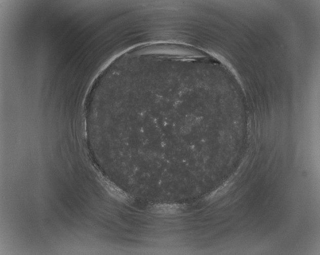 X0000082940925200702152210