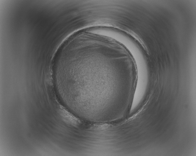 X0000082940926200702152210