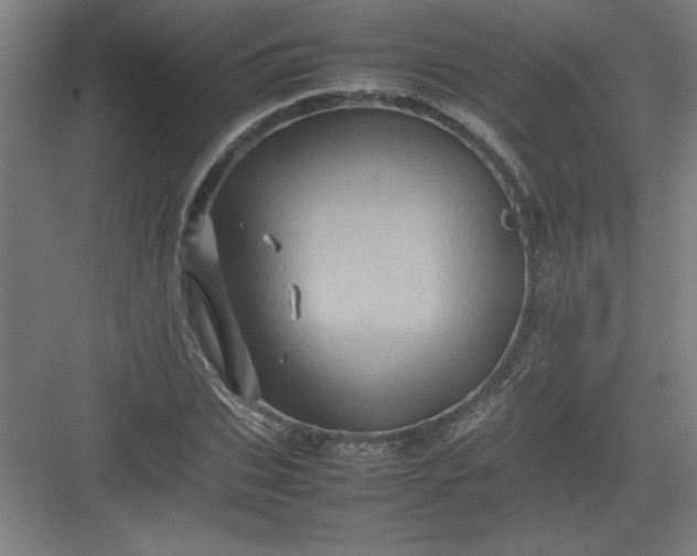 X0000082940927200702152210