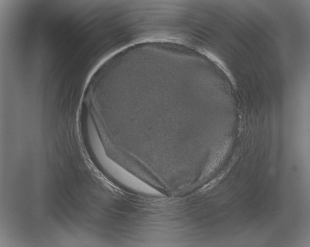 X0000082940928200702152210