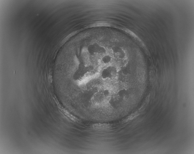 X0000082940929200702152210