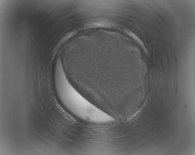 X0000082940930200702152210