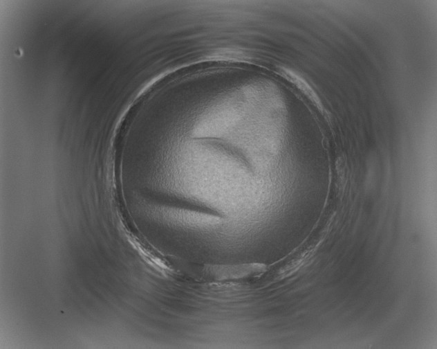 X0000082940931200702152210