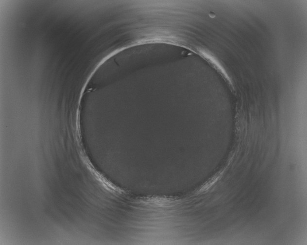 X0000082940932200702152210