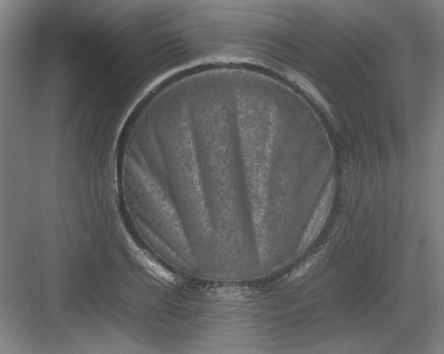 X0000082940934200702152210