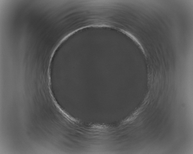 X0000082940935200702152210