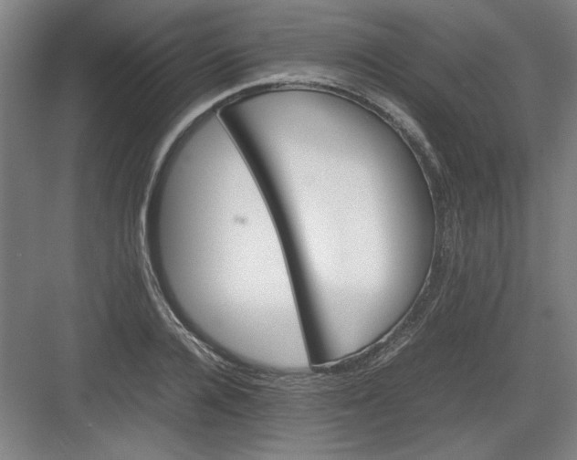 X0000082940936200702152210