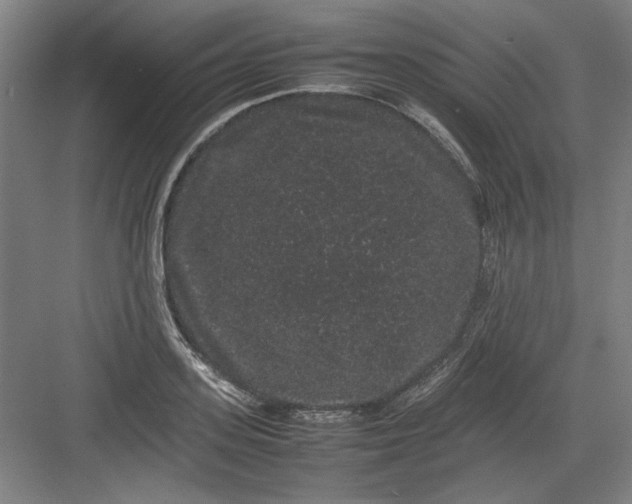 X0000082940939200702152210