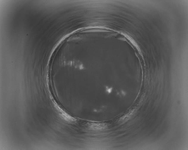 X0000082940941200702152210