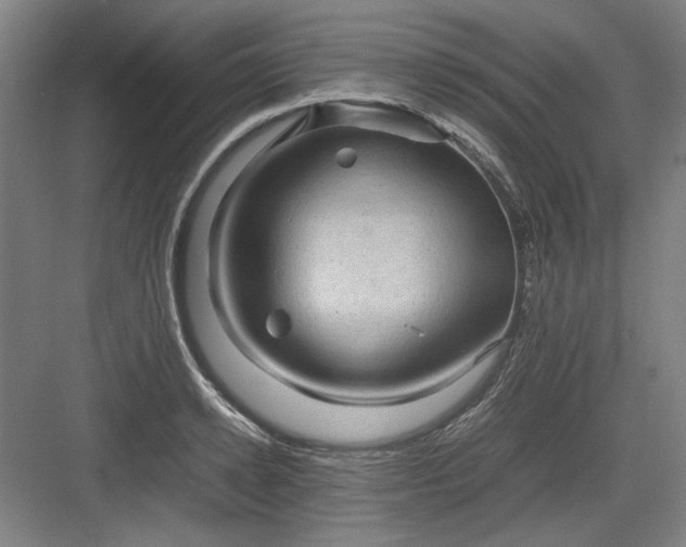 X0000082940942200702152210