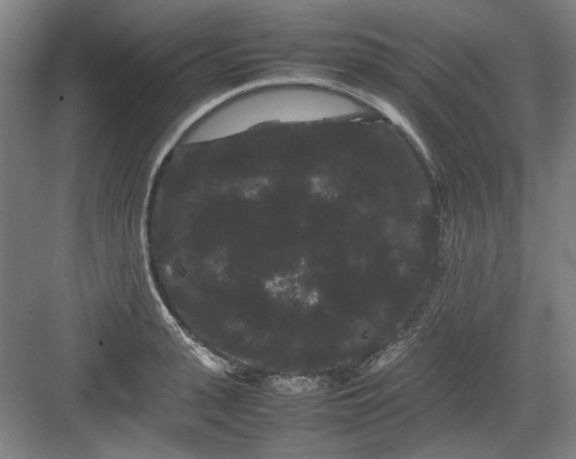 X0000082940943200702152210