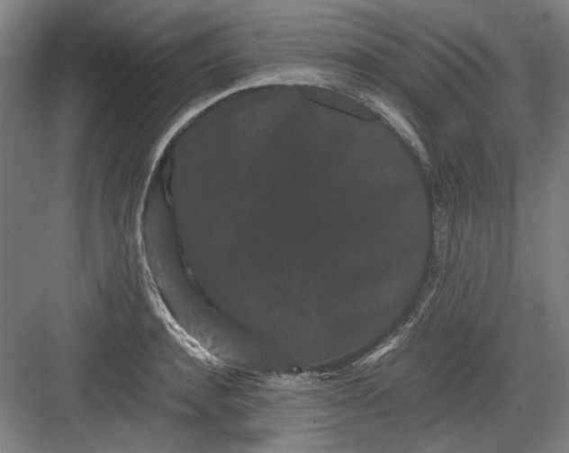 X0000082940944200702152210