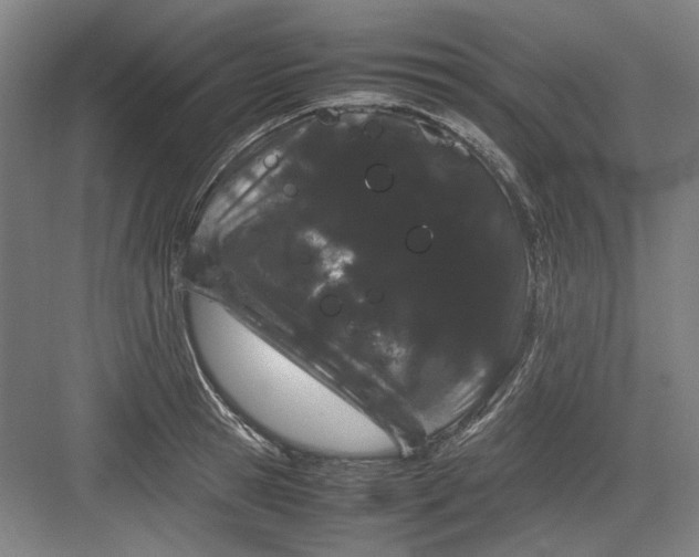 X0000082940945200702152210