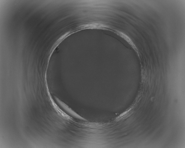 X0000082940946200702152210