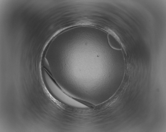 X0000082940947200702152210