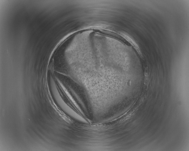 X0000082940948200702152210